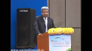 Pankaj Patel Chairman amp MD Cadila Healthcare Ltd speaks at Vibrant Gujarat Summit 2013 [upl. by Palla546]