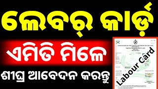 labour card apply process 2024 in odia  odisha labour card online apply [upl. by Carlo]