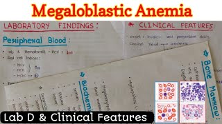 Megaloblastic Anemia 22  Lab D amp Clinical Features [upl. by Einegue650]