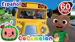 Las ruedas del bus  CoComelon  Its Cody Time en Español  Canciones Infantiles y de Cuna [upl. by Bozovich]