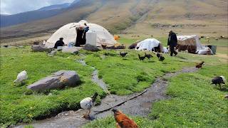 The secrets of nomadic life and their paradiselike atmosphere at the peak of Mount Sablan in Iran [upl. by Sej]