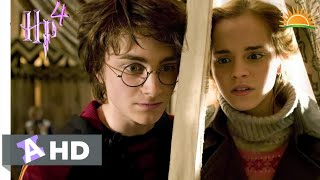 Harry potter 4 tamil scenes [upl. by Dukie]