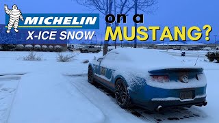 Best Winter tires for a Mustang Michelin XIce Winter Tires Review [upl. by Hedvig]