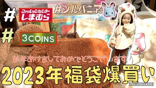 【2023初売り福袋爆買い】新年あけましておめでとうございます🎍今年もどうぞよろしくおねがいします🙇‍♀️【しまむら福袋】子供服 開封動画 シルバニアファミリー マイメロ ワンワン [upl. by Ara88]