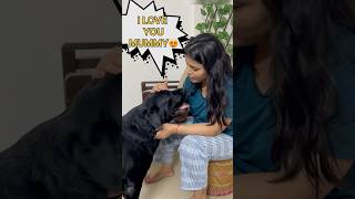 Lucky Ki Mummy Lai Diwali Gift doglover lucky [upl. by Dworman]