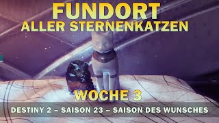 Destiny 2  Fundort aller Sternenkatzen von Woche 3  Guide und Standort der Sternenkatzen [upl. by Odrick]