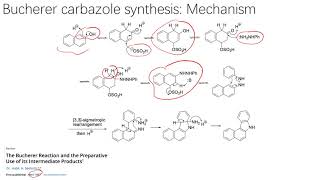 有机人名反应（36）：Bucherer carbazole synthesis [upl. by Liarret]