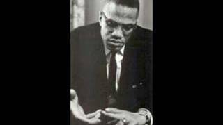 Malcolm X On Black Business [upl. by Knick]