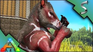 CHALICOTHERIUM TAMING BREEDING  IMPRINTING  Ark Survival Evolved S3E70 [upl. by Ogeid83]