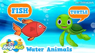 Water Animals  Learn SeaAquatic Animals Names In English for kids  Educational Video Jingu Kids [upl. by Soinotna]