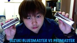 Suzuki Bluesmaster vs Promaster Harmonicas  Review amp Comparison [upl. by Ardnama]