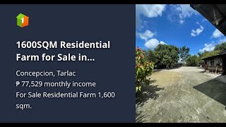 1600SQM Residential Farm for Sale in Concepcion Tarlac [upl. by Okiram]