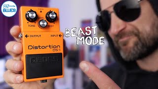 The Boss DS1 Distortion Pedal Review  How Good is it [upl. by Enneillij685]