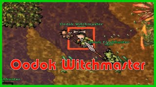 Tibia  Oodok Witchmaster  Boss  Tiquanda  Loot bast skirt [upl. by Veradis]