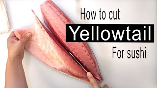 How to break down yellowtail hamachi into parts for sushi [upl. by Brittne]