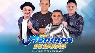 Os Meninos De Barão  Cd Novo 2019 Dezembro [upl. by Kellie]