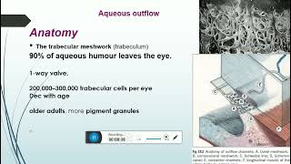 aqueous humor productioncomponentssupressionand trabecular meshwork parts [upl. by Schulman]