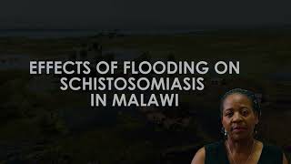 Effects of Flooding on Schistosomiasis in Malawi [upl. by Kassandra]