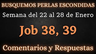 BUSQUEMOS PERLAS ESCONDIDAS ✅ SEMANA DEL 22 AL 28 DE ENERO ♡ JOB 38 39 [upl. by Venterea763]