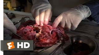 eXistenZ 310 Movie CLIP  BioPod Surgery 1999 HD [upl. by Ferdy]