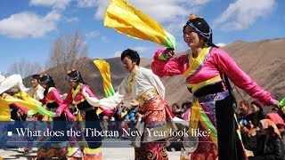 Live What does the Tibetan New Year look like 藏历新年知多少 [upl. by Nueormahc308]