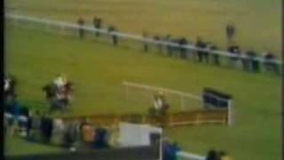 Horse Racing 1974 Triumph Hurdle Cheltenham Attivo [upl. by Ytirev]