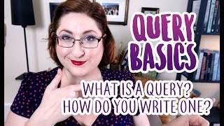 Query Basics How To Get A Literary Agent [upl. by Nette922]