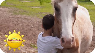 Pferde machen Kinder in schwierigen Lebenssituationen glücklich  SAT1 Frühstücksfernsehen [upl. by Anasus]