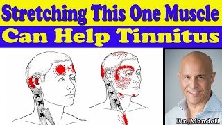 Stretching This One Neck Muscle Can Help Your Tinnitus  Dr Alan Mandell DC [upl. by Anile490]