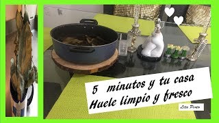 Aromatiza tu casa en 5 minutos con eucalipto [upl. by Nilreb]