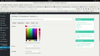 JW Player 7 for Wordpress  Customizing subtitles [upl. by Inness]