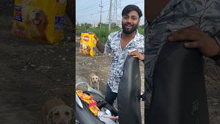 Dogs ko pedigree khila di doglapan dogsworld doggys streetdog dogs doglover dog ￼ [upl. by Anaoj]