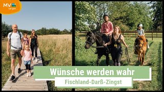 FischlandDarßZingst Urlaub für die ganze Familie  MecklenburgVorpommern  Ausflugstipps [upl. by Howarth]