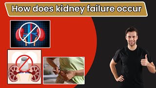 How does kidney failure occur part 1 Urinary tract blockageKidney function testsCreatinine [upl. by Kassi]