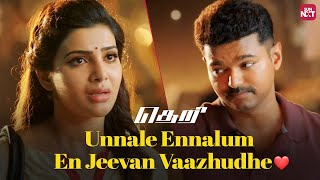 Thalapathy Vijay amp Samanthas Magical Moments of Love❤️  Theri  Full Movie on Sun NXT [upl. by Accem]