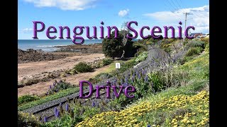 Penguin Scenic Drive  Burnie  Ulverstone [upl. by Ced399]