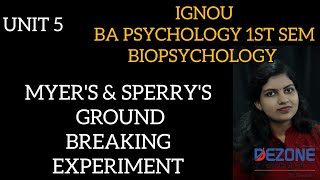 IGNOU BA PSY 1ST SEM BIOPSYCHOLOGY UNIT 5 MYERS amp SPERRYS GROUND BREAKING EXPERIMENT [upl. by Florrie]