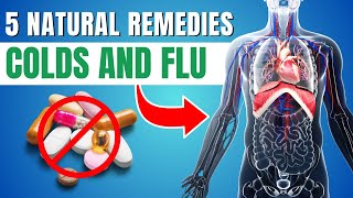 5 Natural Remedies for Common Ailments Herbal Medicine and Homeopathy [upl. by Cyma]