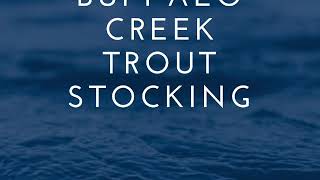 TROUT STOCKING BUFFALO CREEK PT 2 [upl. by Eecal]