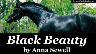 BLACK BEAUTY by Anna Sewell  FULL AudioBook  Greatest AudioBooks V2 [upl. by Nalor]