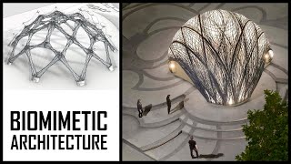 Biomimetic Architecture [upl. by Giana926]