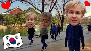 Seoul  Best City in the World Korea VLOG 🇰🇷 [upl. by Ahseim866]