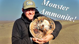 We Found a GIANT AMMONITE Ammonites Ammolite amp More  Fossil Hunt and Prep [upl. by Anson]