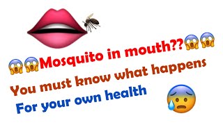 A Mosquito Inside Your Mouth This Is What Would Happen  You should watch it for your own safety [upl. by Edwards]