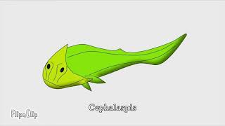 Cephalaspis [upl. by Dari]