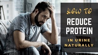 How To Reduce Protein In Urine Naturally  Protein in urine proteinuria treatment  Health Domain [upl. by Ahidam]