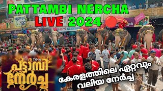 pattambi nercha live 2024 🔴 pattambi fest 2024 live pattambifestlive2024 pattambilive2024 [upl. by Clapper]