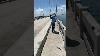 Jack fish  Jackfish fishing fish florida skayway spoonfishing [upl. by Saitam]