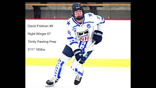 2024 USHL Combine  David Fridman 8 Hockey Highlights [upl. by Eduard]