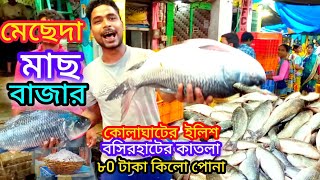 মেছেদা পাইকারি মাছের বাজার  mecheda wholesale fishmarket  wholesale fishmarket  fishmarket [upl. by Nilreb932]